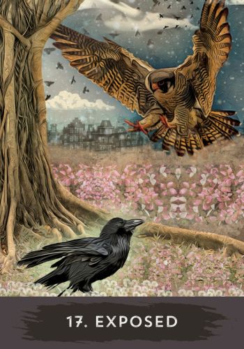 URBAN CROW | ORACLE CARDS