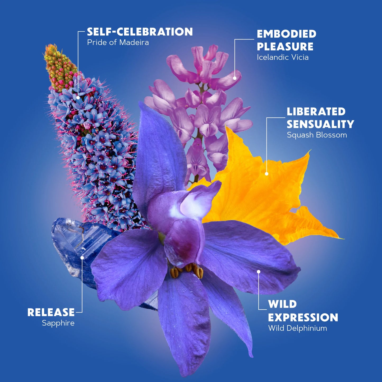 LUSCIOUS EMBODIMENT FLOWER ESSENCES