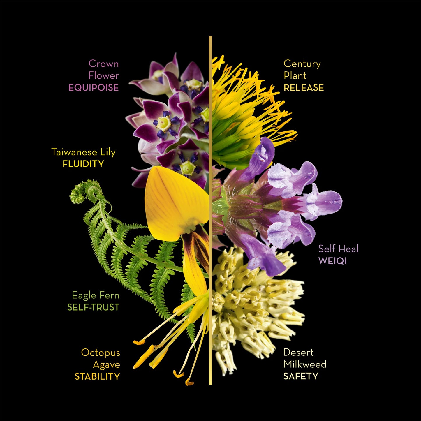 SACRED BODY FLOWER ESSENCES