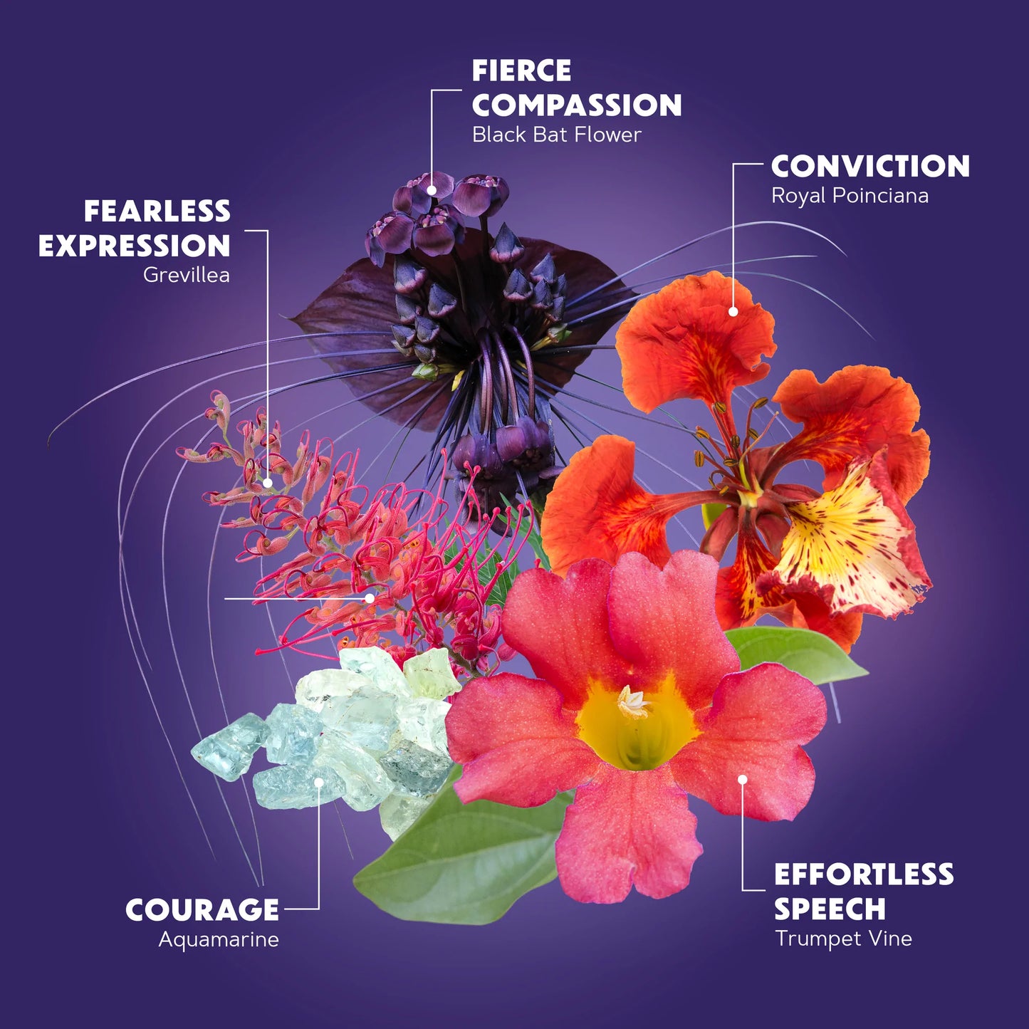 TRUTHTELLER FLOWER ESSENCES