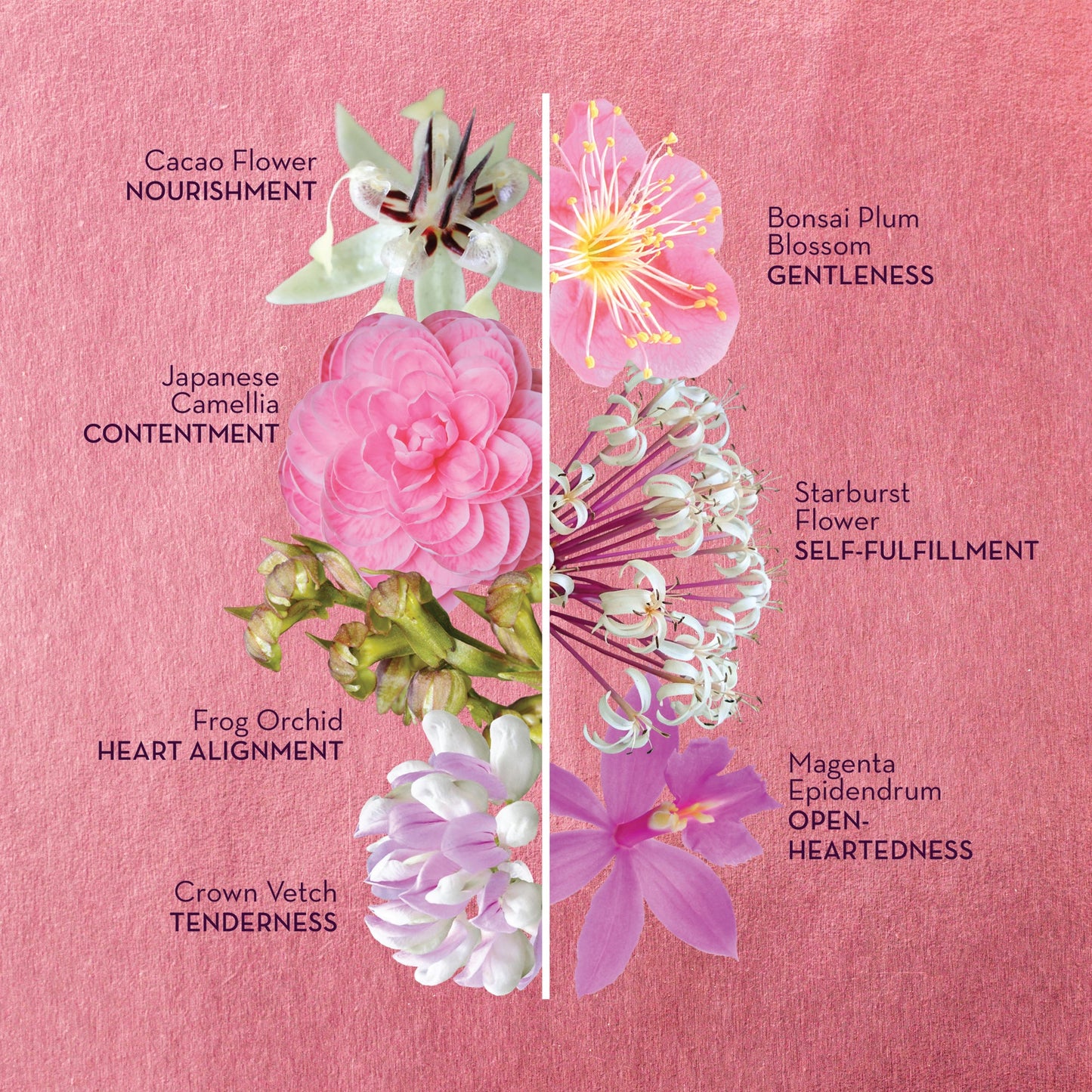 DIVINE WITHIN FLOWER ESSENCES