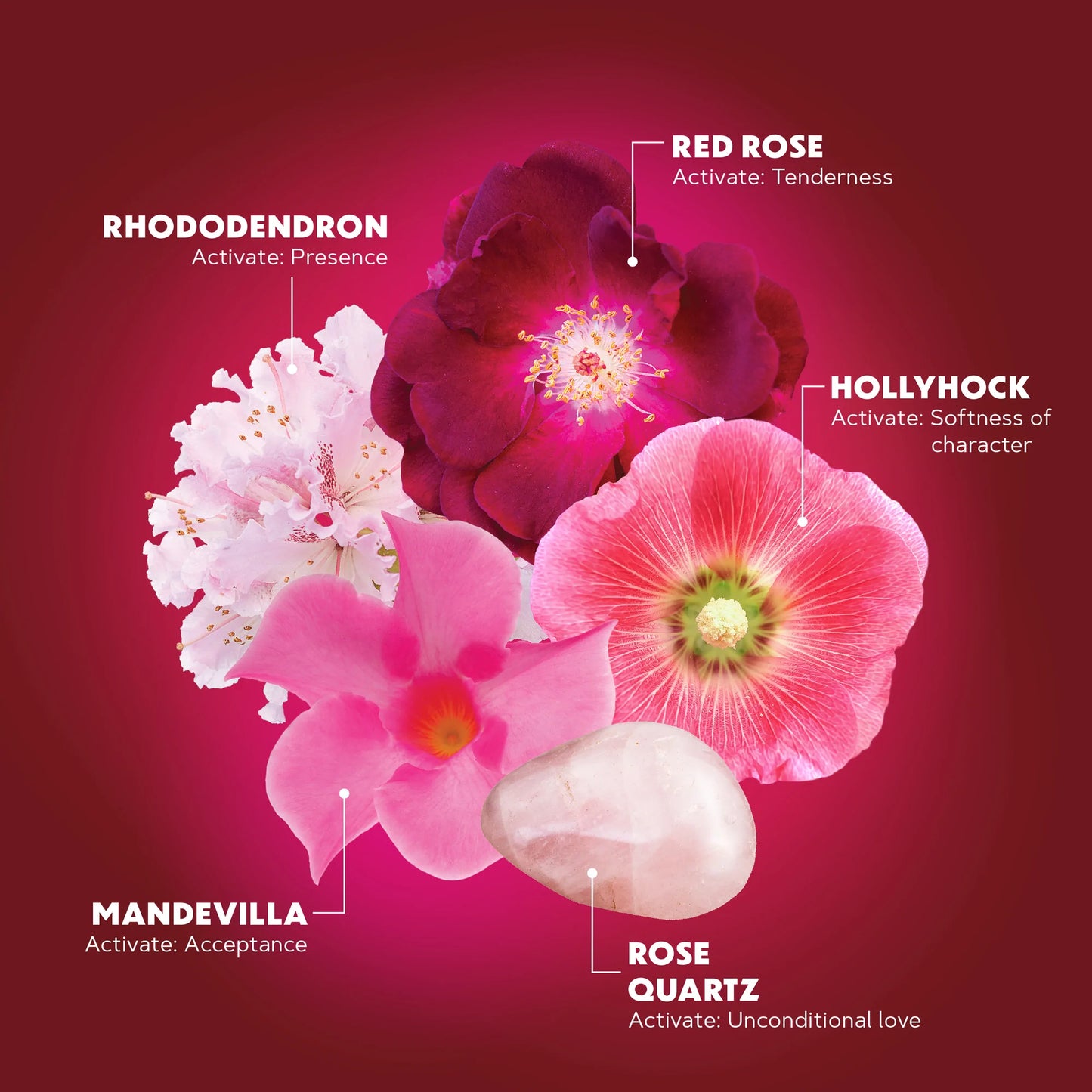 FIERCE COMPASSION FLOWER ESSENCES