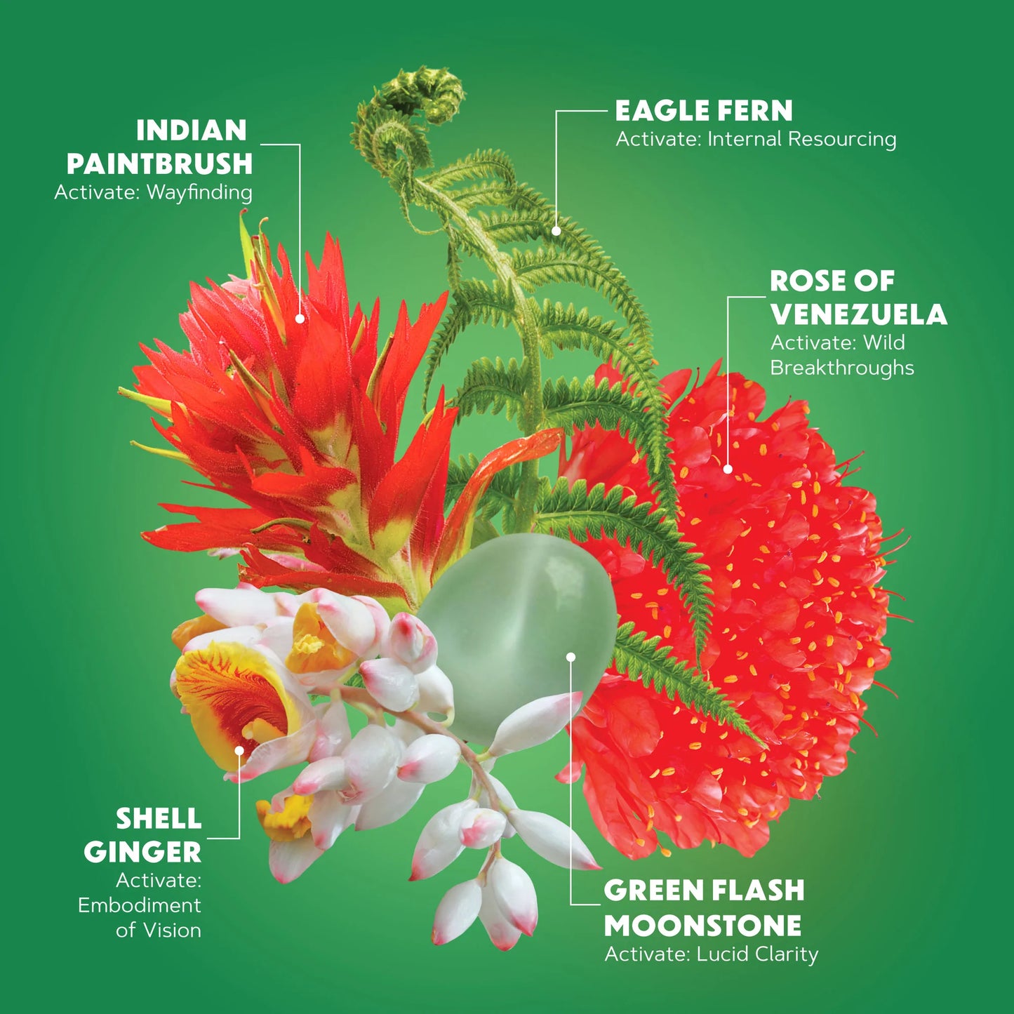 INNER KNOWING FLOWER ESSENCES