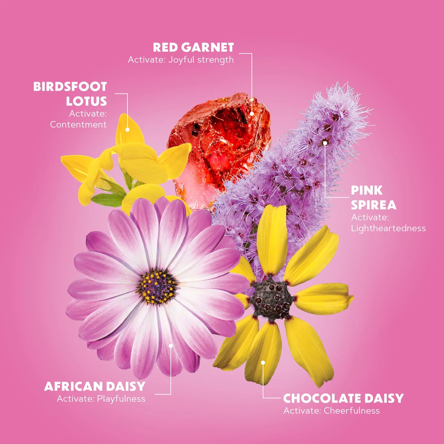 JOY JUICE FLOWER ESSENCES