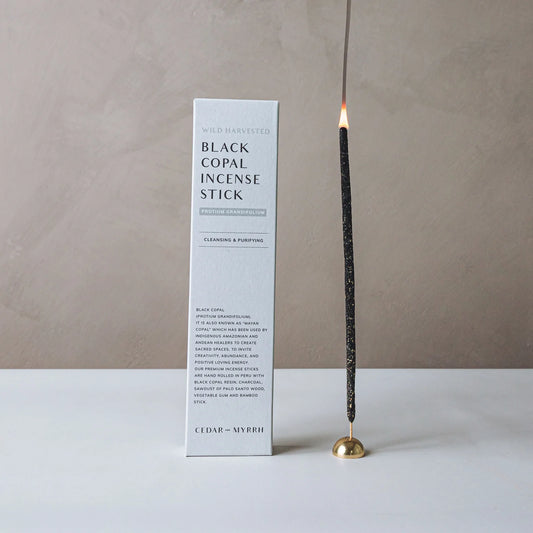 [Burning Ritual] Black Copal Incense Stick