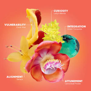 OPEN HEART FLOWER ESSENCES