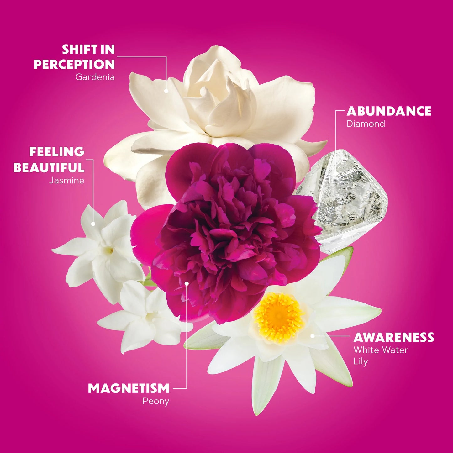 WILD ABUNDANCE FLOWER ESSENCES