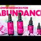 WILD ABUNDANCE FLOWER ESSENCES